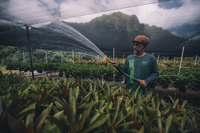 Kualoa Ranch - Kualoa Grown Tour - Fruit Picking and Tasting, the Part Everyone Remembers