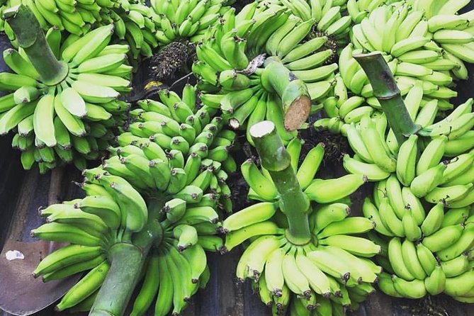 Kualoa Ranch - Kualoa Grown Tour - Garden Stops That Don’t Feel Like a Detour