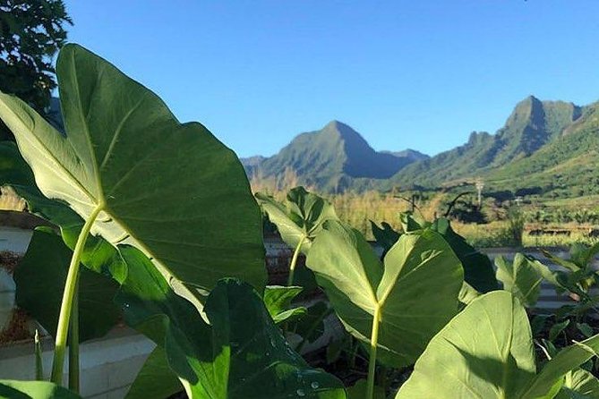 Kualoa Ranch - Kualoa Grown Tour - How Long It Takes, and How It Fits Your Day