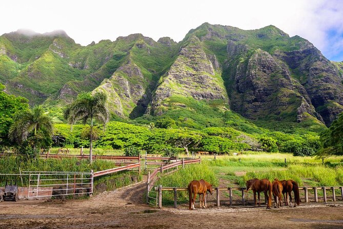 Kualoa Ranch: Novice E-Bike - Key takeaways before you ride