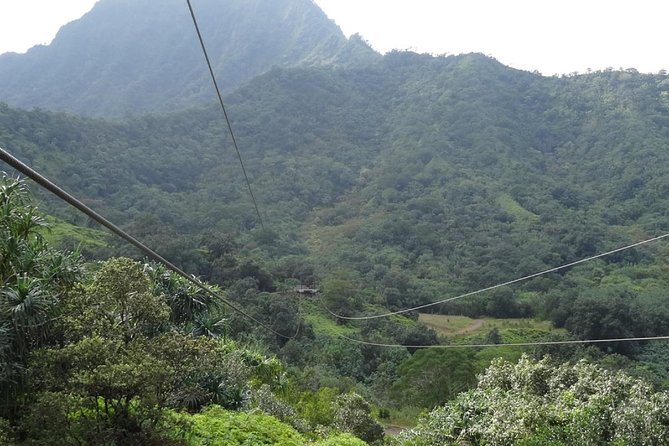 Kualoa Ranch - Zipline Tour - The short nature hikes: medicinal plants, quick trails, and what to watch for