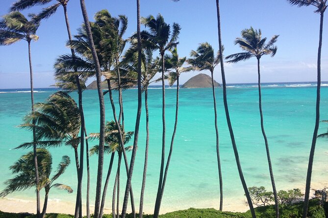 Lanikai to Mokulua islands Stand Up Paddle Board Tour - Stop 2: Mokulua Islands, White Sand and Wildlife Sanctuary Views