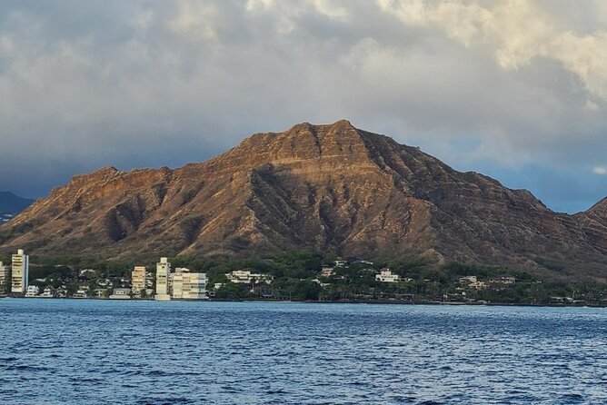 Late Breakfast Cruise in Honolulu - Stop 2: Waikiki Beach and the wildlife odds game