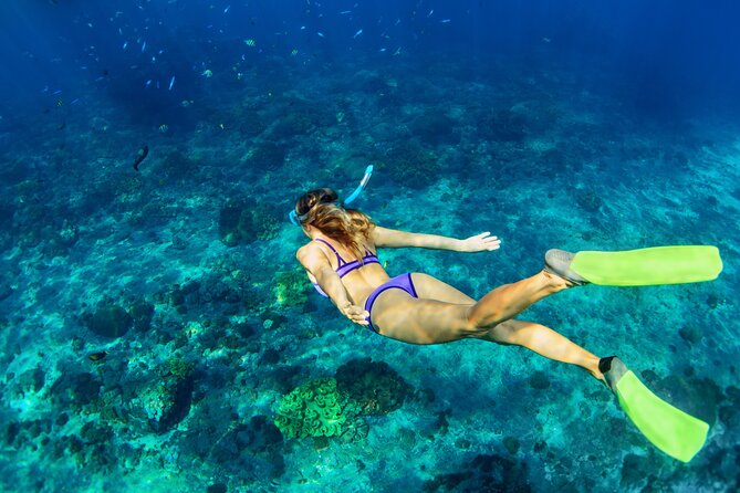 Luxury Diamond Head Sunset Sail - Key Highlights You’ll Actually Feel