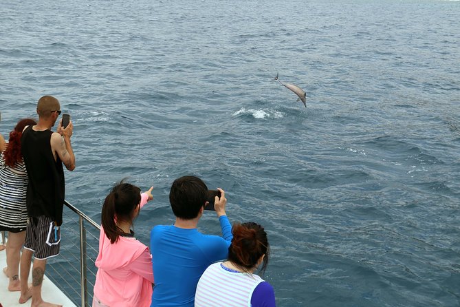 Luxury Snorkel Cruise, Local Buffet with Whale & Dolphin Watch - Photos After Snorkeling: Worth It, and How to Make Them Look Good