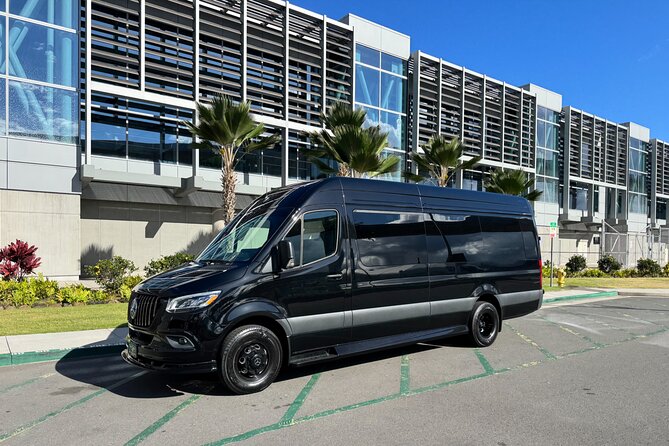 Luxury Sprinter Transfer Airport, Waikiki and Cruise Terminal - Who This Transfer Fits Best in Honolulu