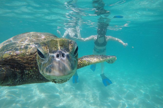 Mahina Hawaii Full Day Adventure - Why Mahina Hawaii feels different from big-bus Oahu tours