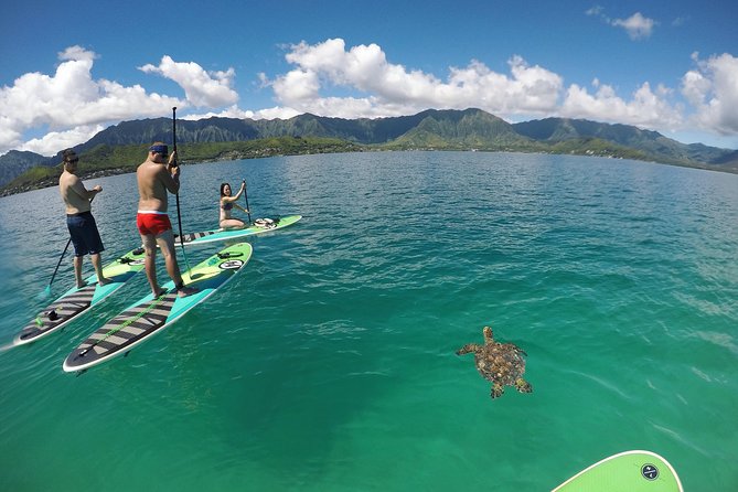 Mahina Hawaii Full Day Adventure - Fitness, weather, and how to plan your comfort level