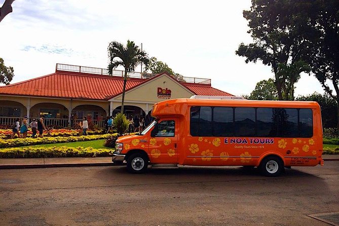 Majestic Circle Island Tour with Lunch - Quick reasons this Circle Island day works