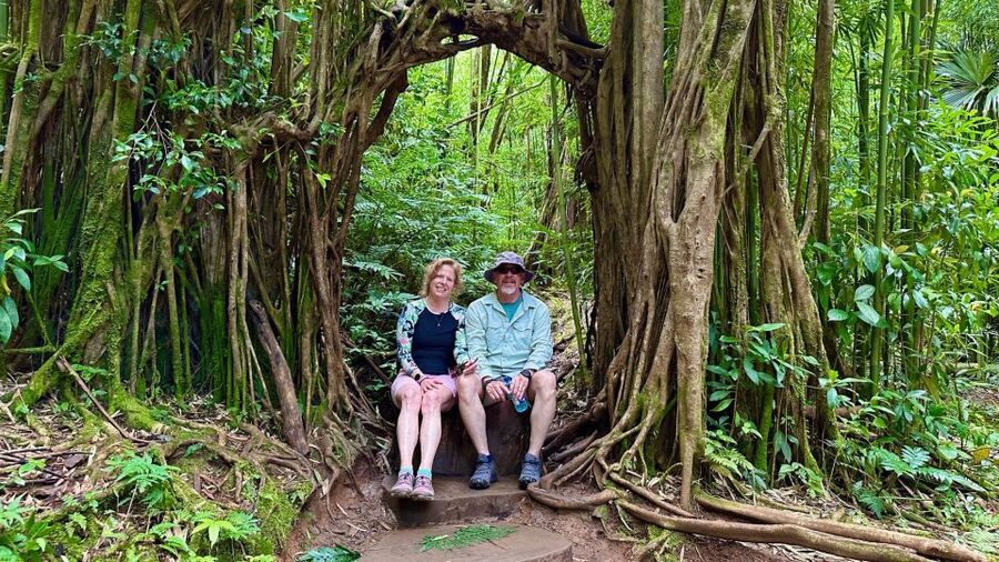Manoa Falls eBike to Hike - From Kuhio Beach to Mānoa Valley, this ride is about more than getting there