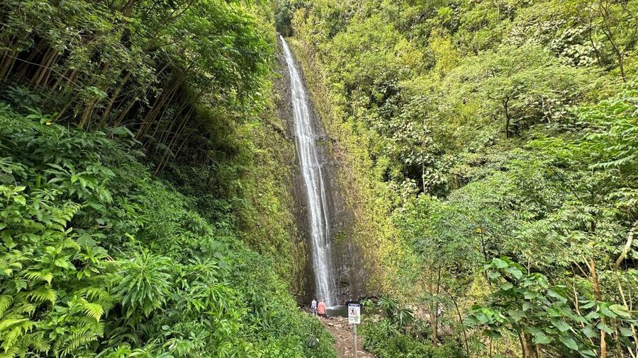 Manoa Falls eBike to Hike - Mānoa Falls hike planning, distance, climb, and what easy really means