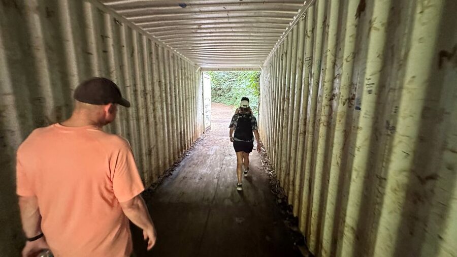 Manoa Falls eBike to Hike - Rainforest footsteps, local fauna, and the ancient Hawaiian stories you hear along the way
