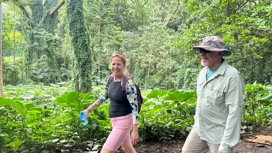 Manoa Falls eBike to Hike - Mānoa Falls itself, the movie connection, and why the waterfall can vary