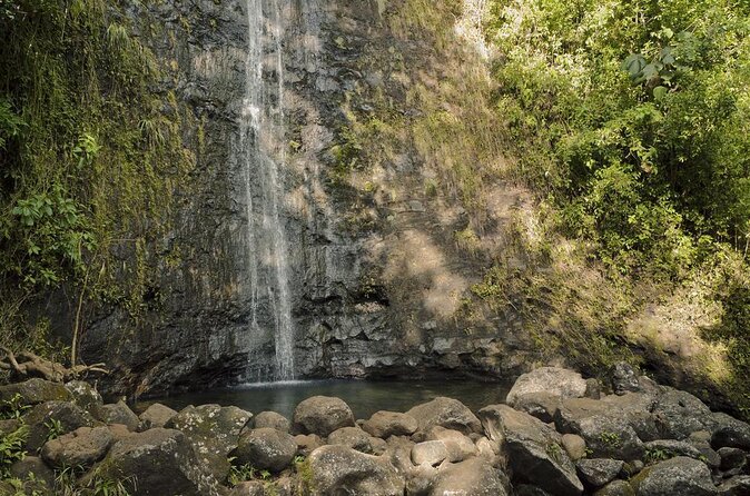 Manoa Falls-Electric Bike to Hike Experience Local meal included - Key things to know before you go