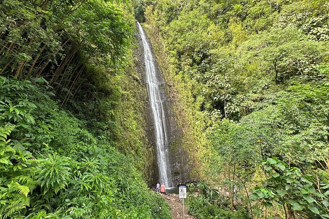 Manoa Falls-Electric Bike to Hike Experience Local meal included - Why this Manoa Falls e-bike plus hike day makes sense
