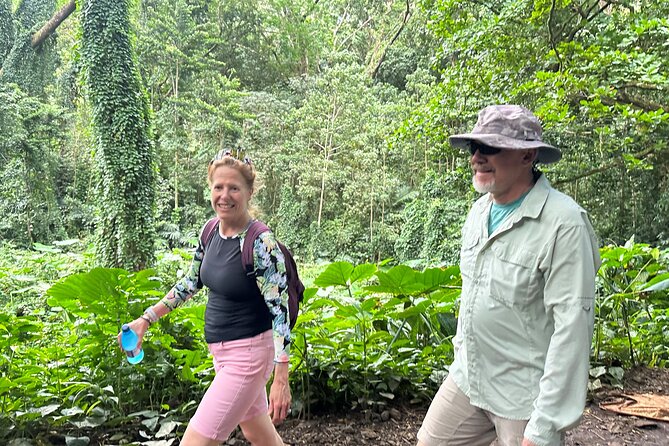 Manoa Falls-Electric Bike to Hike Experience Local meal included - Reaching Manoa Falls: the 150-foot payoff and the stories behind it