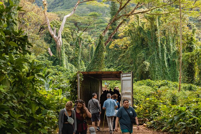 Manoa Waterfall Hike with Waikiki Pickup & Healthy Lunch - 150-foot Manoa Waterfall: your photo stop and your reality test