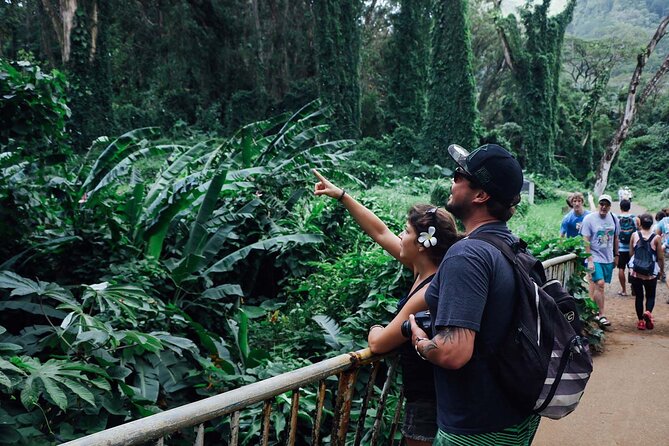 Manoa Waterfall Hike with Waikiki Pickup & Healthy Lunch - Who this tour is best for (and who might skip it)