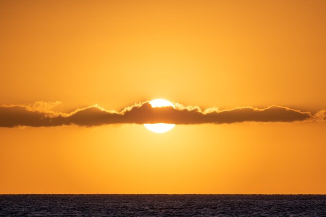 Moana’s Luxury semi-private Sunset Cruise on Nalu - Wildlife Odds: Dolphins, Turtles, Flying Fish, and Humpbacks