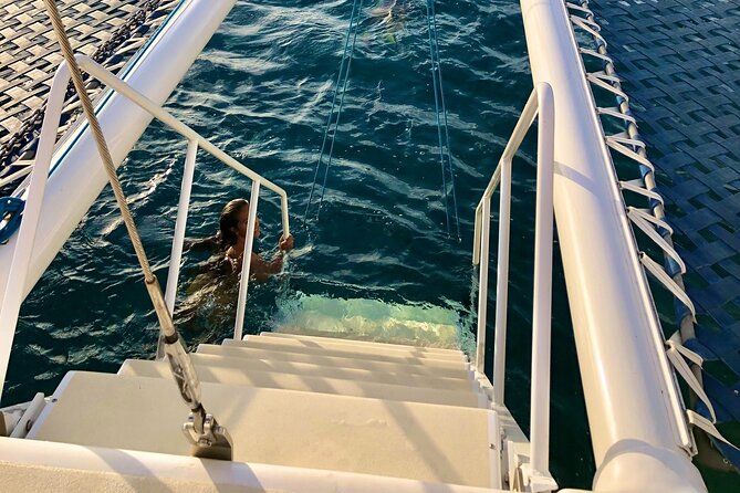 Moana’s Swim’n’Sail Cocktail Cruise Along the Waikiki Coast - Timing, shoes, seasickness, and other practical gotchas