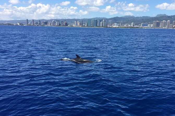 Moana’s VIP Waikiki Turtle Snorkeling Experience on Nalu - Waikiki Morning, Then Turtle Canyon: The Flow of This Trip