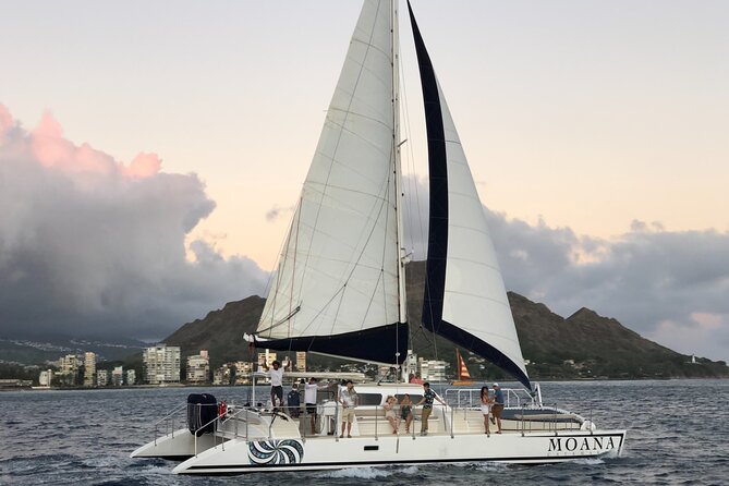 Moana’s VIP Waikiki Turtle Snorkeling Experience on Nalu - Wildlife Scanning Beyond the Turtles