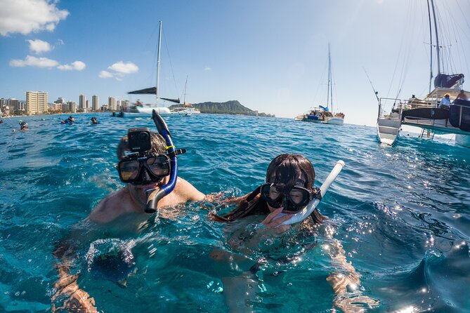 Moana’s Waikīkī Grand Guided Turtle Snorkel & Sailing Adventure - Turtle Canyon reefs: what you can look for under the surface