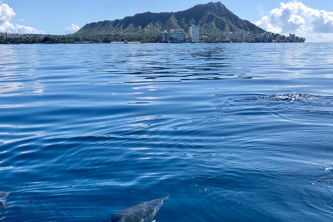 Moana’s Waikīkī Whale Watching Exploration - The crew’s whale spotting makes a real difference