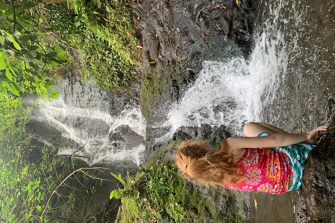 Nature Hike to Waterfall - Price breakdown: why $198 feels fair for this mix