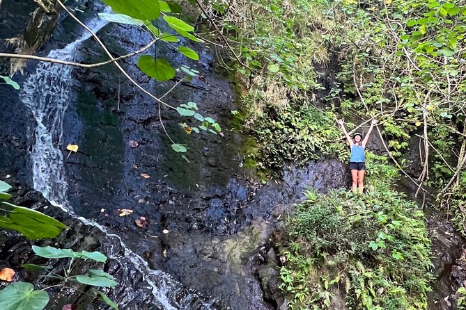 Nature Hike to Waterfall - Old Pali Road: the rainforest tunnel drive before the hike