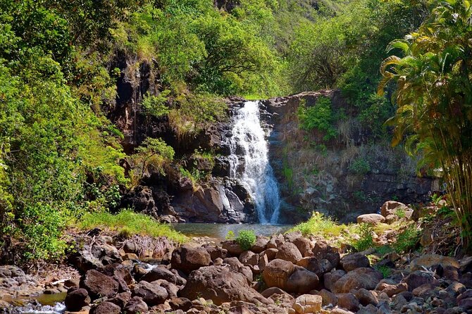 Next Level Oahu Circle Island Tour Snorkel w/Turtles and Byodo-In - 6 Key Things That Make This Tour Worth Your Time