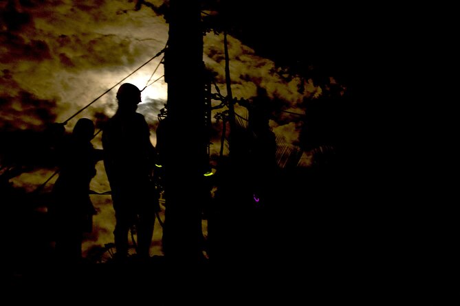 Night Zipline: 3 Zipline Adrenaline Adventure - Smores and campfire snacks: the ending that makes it worth it