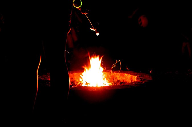Night Zipline: 3 Zipline Adrenaline Adventure - Price and value: is $142 a fair deal in Oahu?