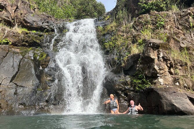 North Shore day,Waterfalls and Turtles Tour - North Shore basics: what this $150 day gets you