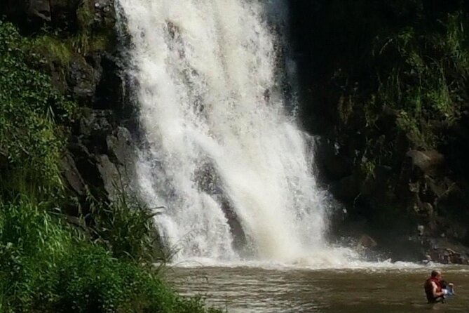 North Shore day,Waterfalls and Turtles Tour - Seamus and Sandy: why the guide matters on this kind of day