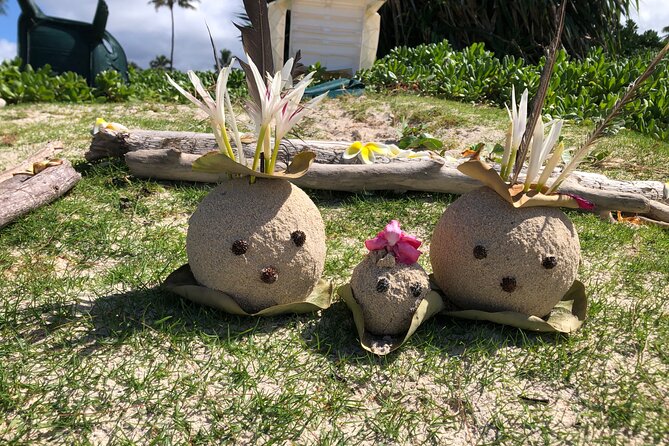 North Shore day,Waterfalls and Turtles Tour - Price and value: what’s included, what you pay separately