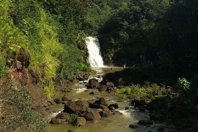 North Shore day,Waterfalls and Turtles Tour - Should you book this North Shore waterfalls and turtles tour?