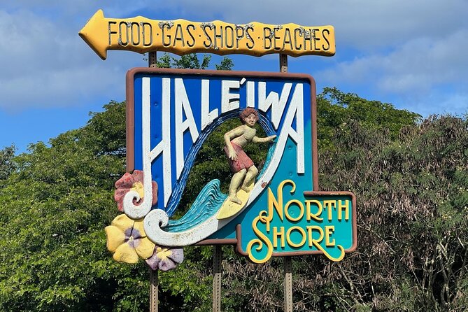 North Shore Dole Pineapple Farm Tour - North Shore Beach Stop: Surf-Spot Energy With a Sea-Life Chance