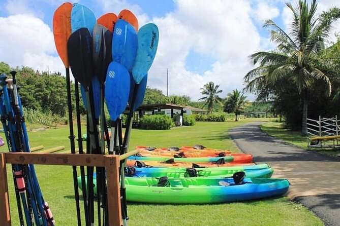 North Shore Farm: Anahulu River, Kayak-Sup, Turtles, Lunch & More - What to Pack: Stay Comfortable When You Get Wet