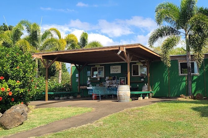 North Shore Farm: Anahulu River, Kayak-Sup, Turtles, Lunch & More - Equipment Choices and Double Kayak Sharing: Know the Rules Before You Paddle