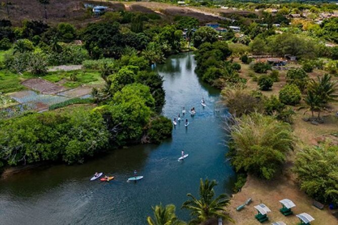 North Shore Farm: Anahulu River, Kayak-Sup, Turtles, Lunch & More - Seeing Honu Sea Turtles: The Part You Came For