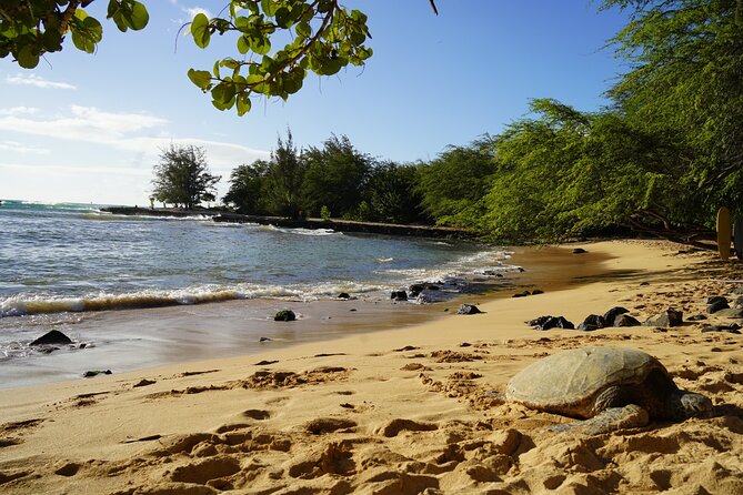 North Shore Surfing Lessons Oahu Hawaii - Equipment Included: What You Get, and What You Still Need