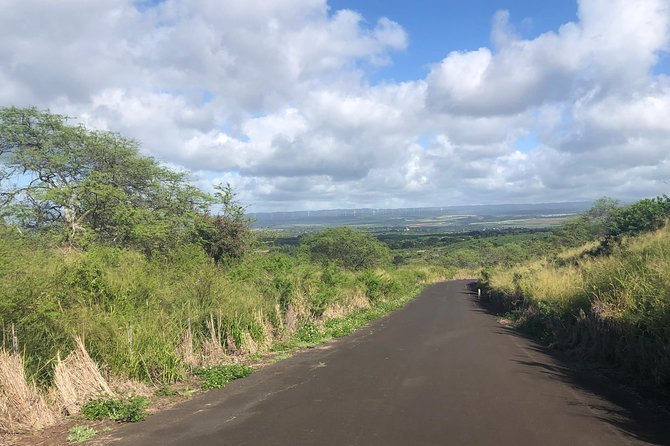 North Shore Tour Guide Hike - Price and value: what $76.93 really covers