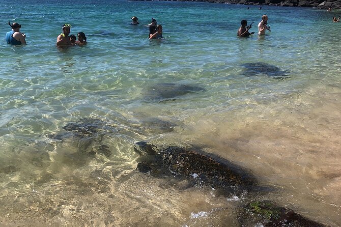 North Shore / Waimea, Falls Day & Swim with Turtles - Waimea Valley: walking in the gardens, then planning your swim