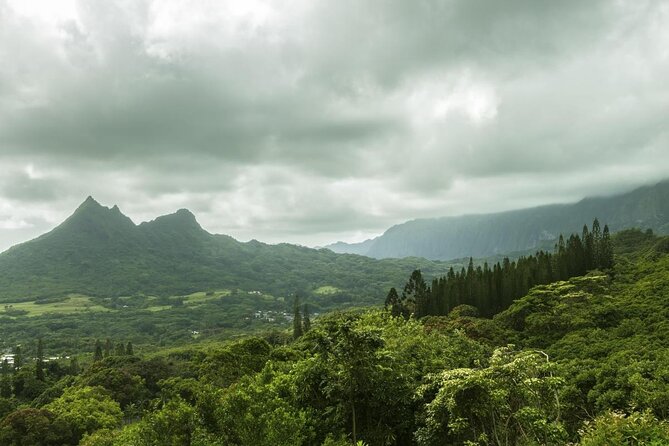 O‘ahu Highlights Private Guided Tour: Landmarks & Architecture - Key points before you go
