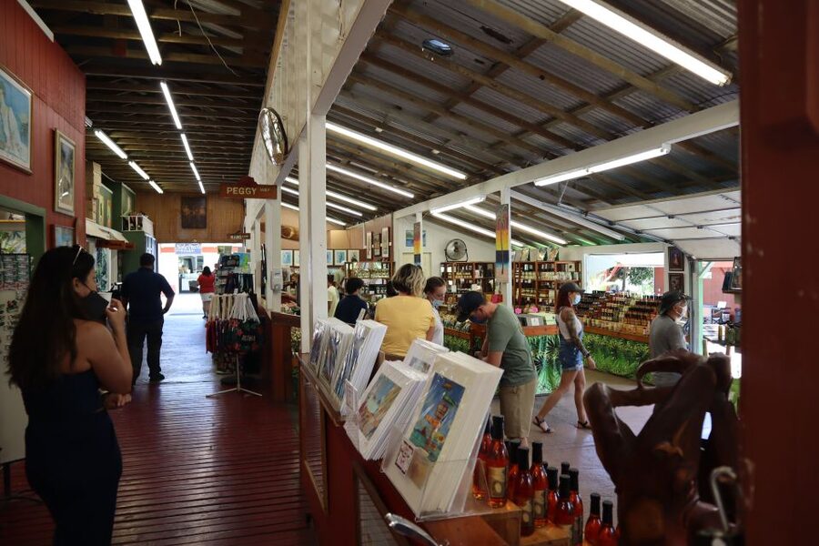 Oahu: Active Circle Island Tour - What Shane Ogitani brings to the day: stories and smart adjustments