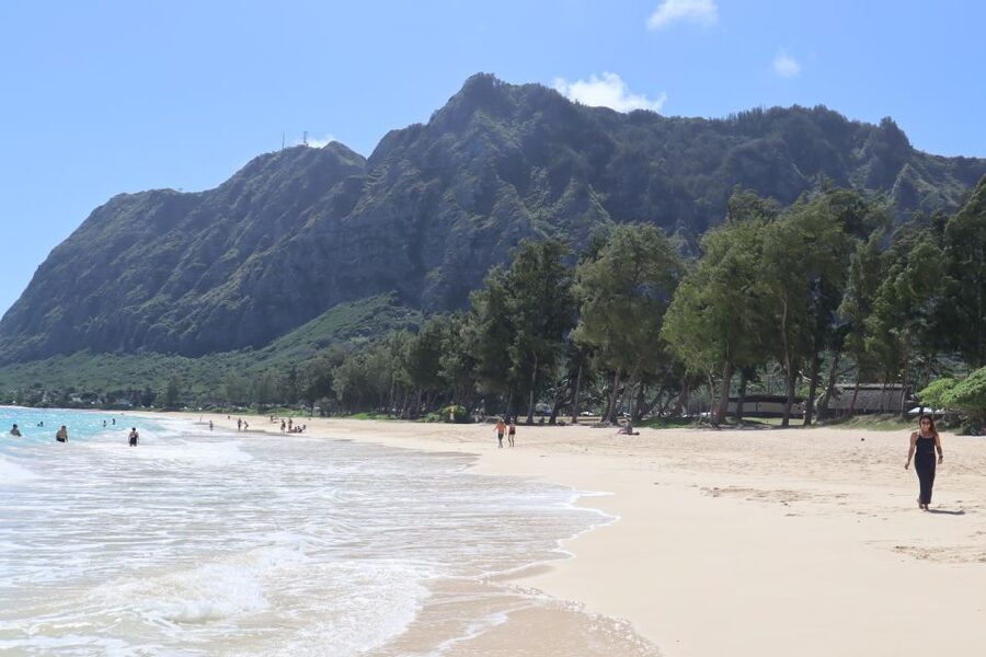 Oahu: Active Circle Island Tour - Makapu’u lighthouse area hike and the Pali viewpoint views