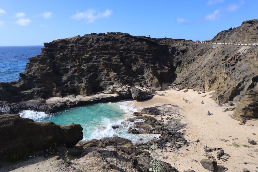 Oahu: Active Circle Island Tour - Sharks Cove snorkeling: your main water time