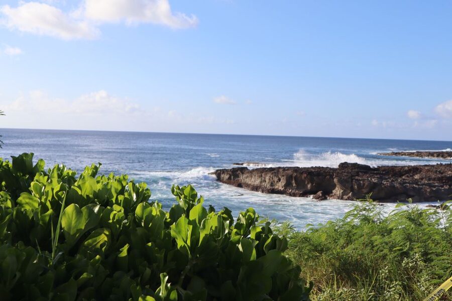 Oahu: Active Circle Island Tour - Turtle Beach downtime: breathing room after the water