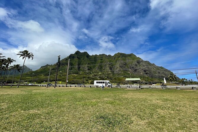 Oahu Allstar Circle Island Tour: Dole, Turtles, Blowhole, Fun - 7:30am pickup and the Waikiki to Diamond Head start